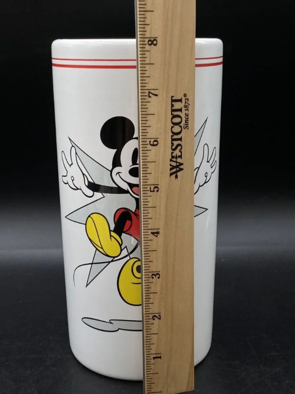 Mickey Mouse Flower Vase Disney 1-800-Flowers Valentines Day